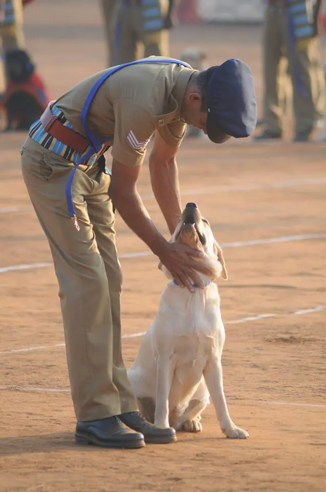 Passing Out Parade of Police Dogs 8