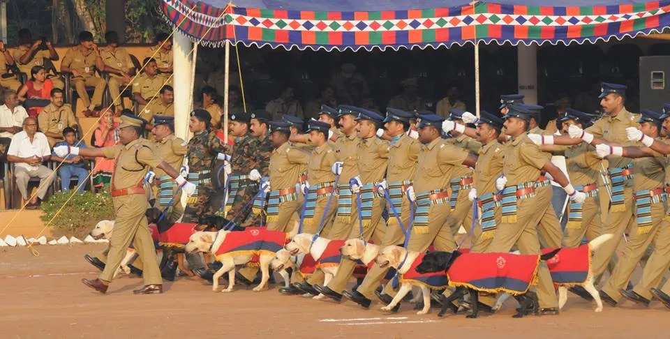 Passing Out Parade of Police Dogs8