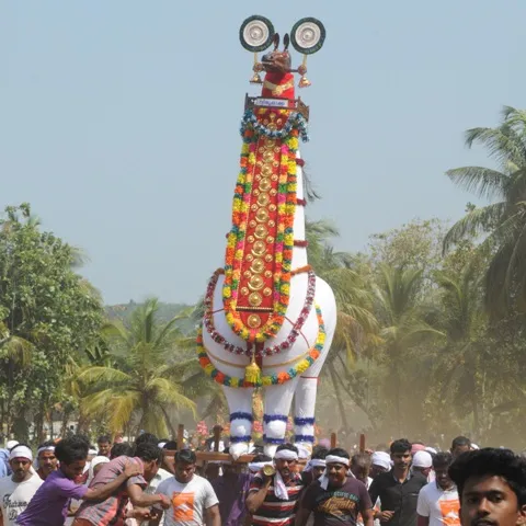 RAJ_5329