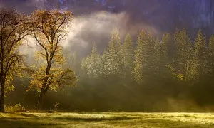 THE NATURE CREATION SHOWS THAT GOD IS ONE