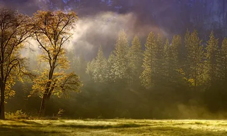 THE NATURE CREATION SHOWS THAT GOD IS ONE