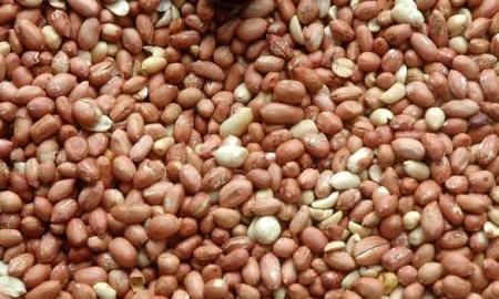 Vietnam Lifts Ban On Import Of Indian Groundnut