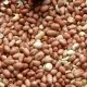 Vietnam Lifts Ban On Import Of Indian Groundnut