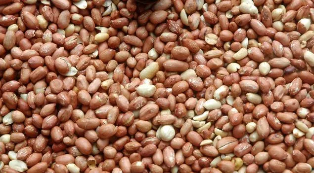 Vietnam Lifts Ban On Import Of Indian Groundnut