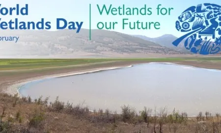 World Wetlands Day