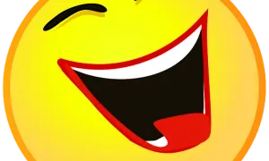 Difference Between Complete And Finished.