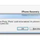 Iphone Error 53