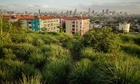 Livelihood Opportunities