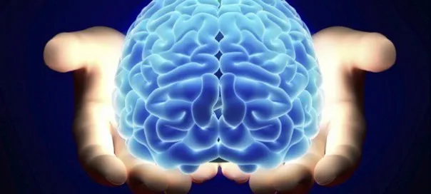 Brain Study