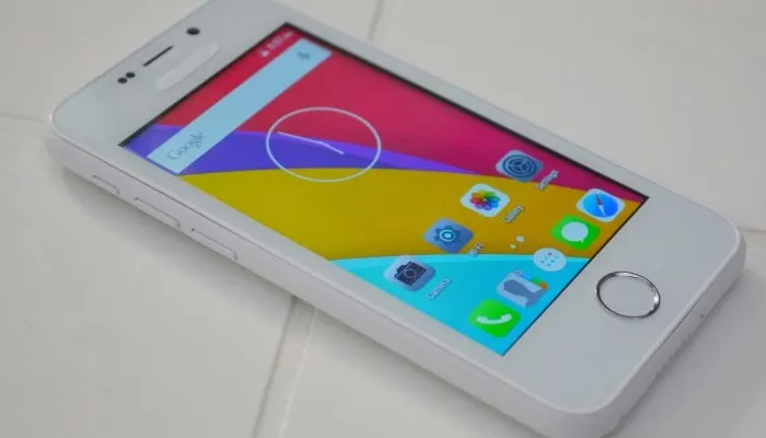 Freedom 251