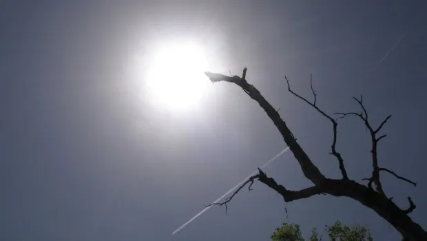 Max Temperatures recorded in some Indian cities