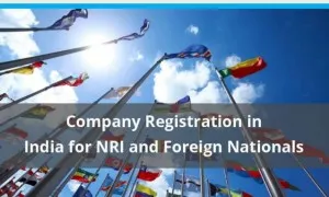 NRIS And Foreign Companies