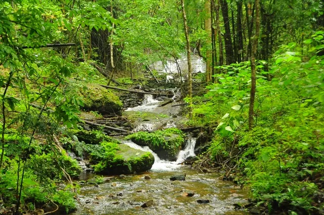RAJ_6174