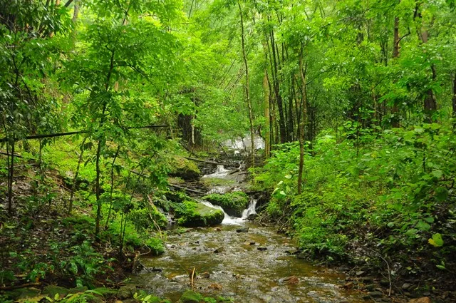RAJ_6181