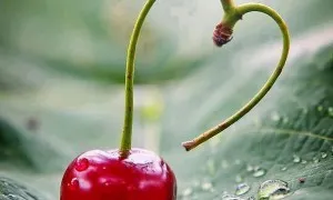 The Beauty Of A Woman