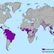 Zika Virus Outbreaks