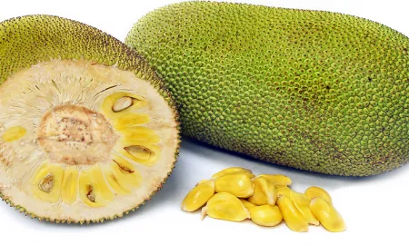 Mango Jamun Jack Fruit