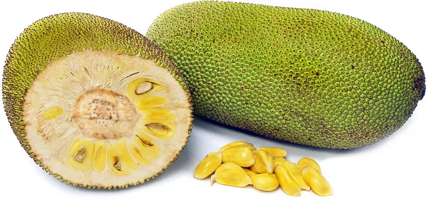 mango jamun jack fruit