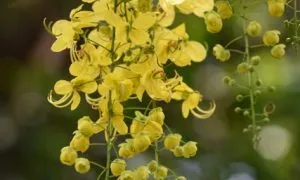 DSC 4527 E1460606140971