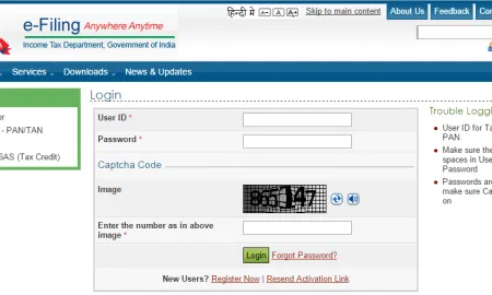 Income Tax Online Rectification