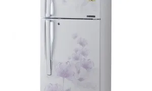 LG 285 Ltr GL D302JPFL Frost Free Double Door Refrigerator