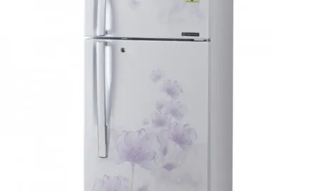 LG 285 Ltr GL D302JPFL Frost Free Double Door Refrigerator