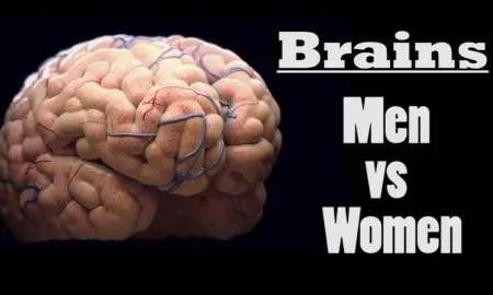 Mens Brains