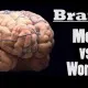 Mens Brains