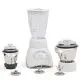 Oster MCPR06 WSO 750 Watt Mixer Grinder