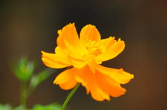 RAJ_7819