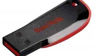 SanDisk Cruzer Blade 32GB USB Flash Drive