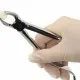 Tooth Extraction