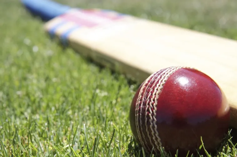 cricket buff