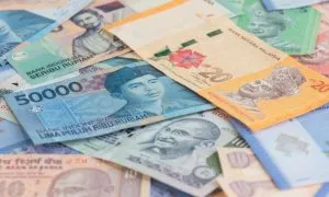 Foreign Investment Rules