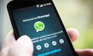 Whatsapp Story
