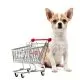 Dog To Shop