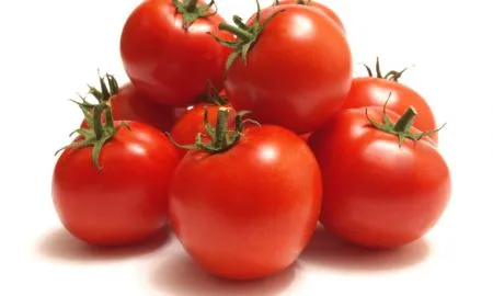 Tomato