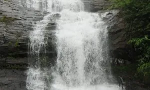 RAJ 7443 E1466417135512