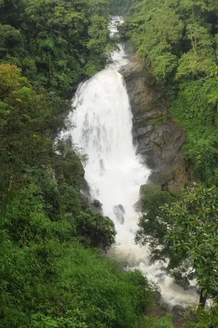 RAJ_7537