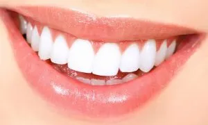 THE TEETH