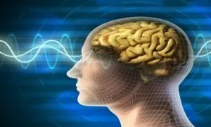 7 Biggest Brain Damaging Habits