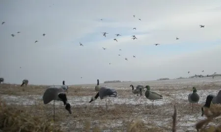 Hunting In Canada