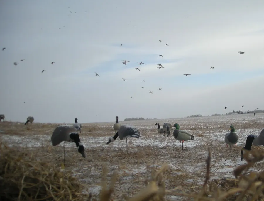 Hunting In Canada
