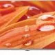 LG 108cm 43 Full HD LED TV