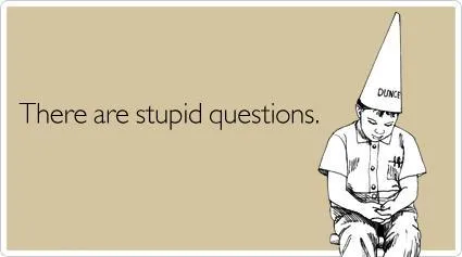 STUPID Questions