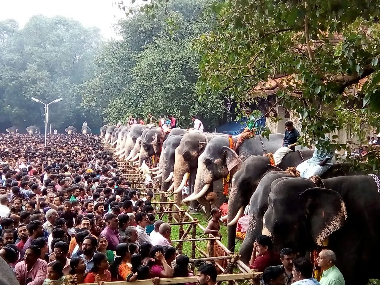 anayoottu (1)