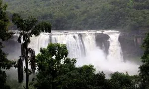 Athirappilly 4