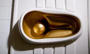 GOLDEN URINALS