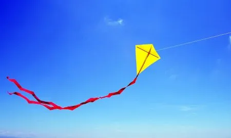 Flying A Kite