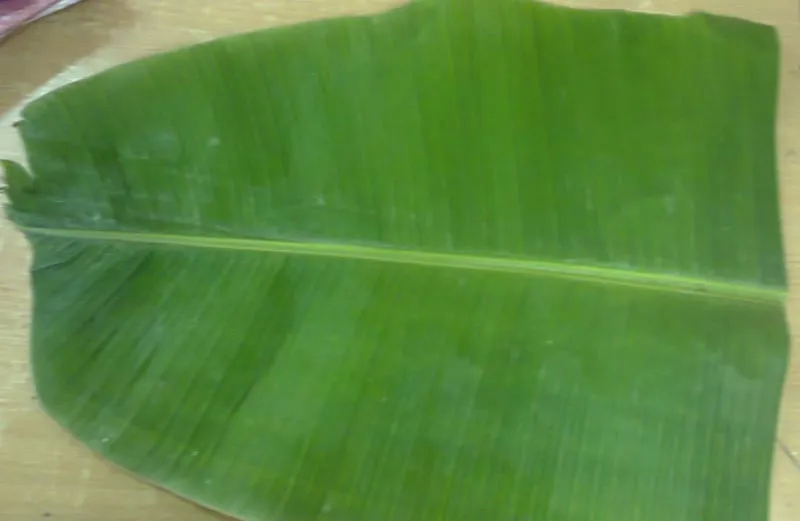 banana-leaf
